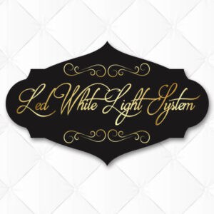 LED White Light System